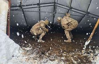 Yıkılan çadırın altına kalan hayvanlar jandarma...