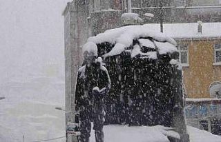 Yoğun kar yağışı kent merkezinde etkili oldu