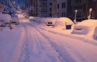 Yoğun kar yağışı sonrası park halindeki araçlar...