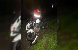 Yola çıkan köpek kazaya sebep oldu: 1 yaralı