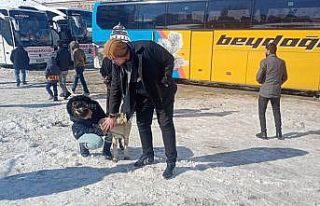 Yolda kalan yolcular köpek besleyerek zaman geçiriyor