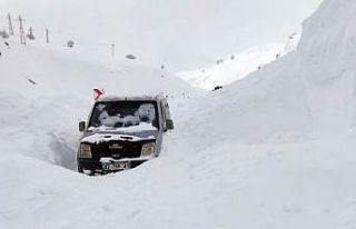 Yüksekova-Dağlıca yoluna çığ düştü