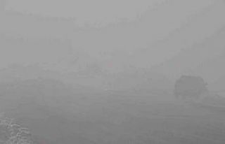 Yüksekova’da yoğun sis: Görüş mesafesi 10 metreye...