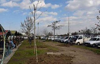 Yunusemre Belediyesinden Manisa CBÜ Hafsa Sultan...