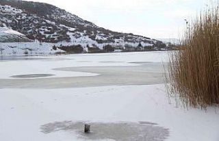 Yüzeyi yer yer buz tutan Sarısungur Göleti’nden...