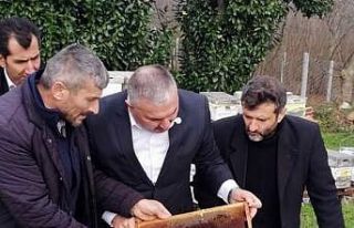 Yüzlerce arı nosema hastalığı sebebi ile telef...