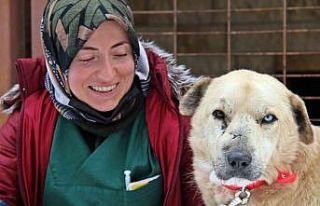 Yüzü ve gözleri yara içindeydi, bu hali herkesi...