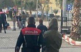 Zeytinyağı hırsızları yakalandı