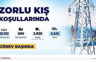 Zorlu kış koşullarında kesintisiz enerji için...