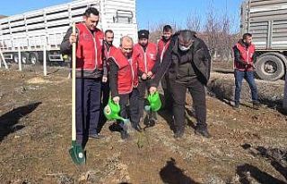 112 fidan 112 saniyede toprakla buluşturuldu