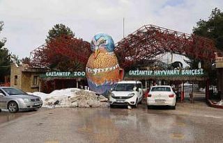 2021’de Gaziantep Hayvanat Bahçesini 2 milyon 750...