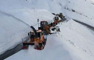 2230 rakımlı Tanin Tanin Geçidi’nde kar 1 metreyi...