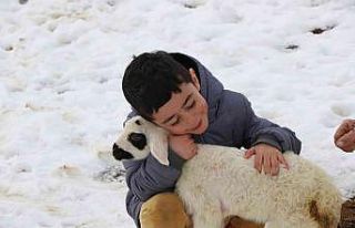 5 Yaşındaki Ali’nin en büyük neşesi yeni doğan...