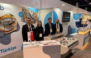 ABD’ye gıda ihracatı 1 milyar doları aştı