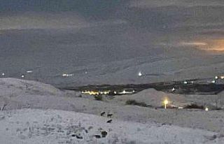 Aç kalan kurtlar yerleşim yerine yaklaştı