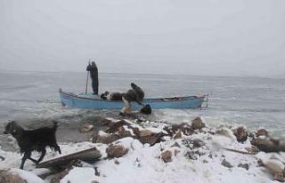 Adada mahsur kalan küçükbaş hayvanlar balıkçı...
