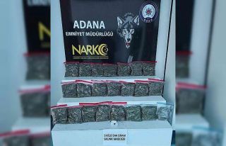 Adana’da 5 kilo 244 gram skunk ele geçirildi