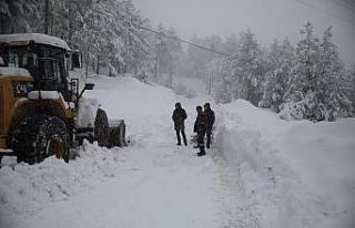 Adana’da karla mücadele seferberliği