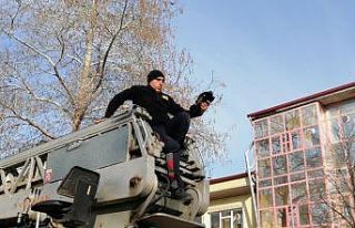 Ağaçta asılı kalan kargayı itfaiye ekipleri kurtardı