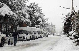 Ahlat’ta yoğun kar yağışı