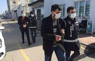 Aile boyu sahte senet çetesi