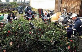 Akdeniz bahara hazırlanıyor