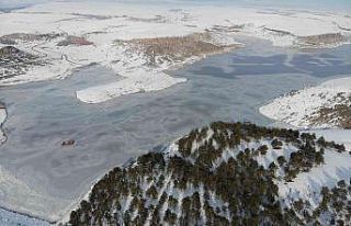 Aksaray’da Mamasın Barajı buz tuttu