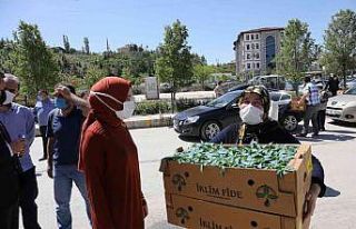 Akyurt’ta sebze fidesi desteğinde başvurular başlıyor