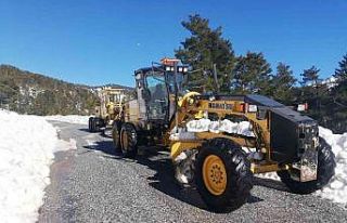 Alanya Taşatan Yolu’nda tuzlama çalışması