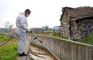Altıeylül’de haşere ile mücadele kışın da...