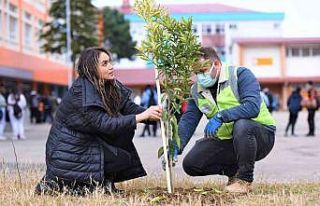 Altınordu’da okul bahçeleri yeşilleniyor