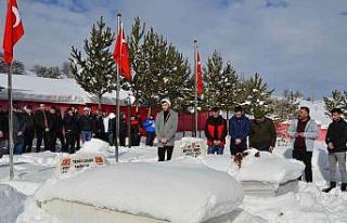 Alucralı gurbetçilerden sıla-i rahim etkinliği