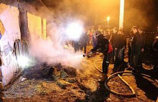 Amasya’da samanlık yangını: 100 balya saman kül...