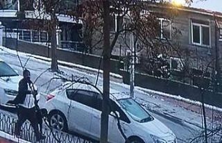 Ankara’da bir hayvansever çalınan 2 köpeğini...