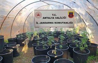 Antalya’da jandarmadan uyuşturucu serasına baskın