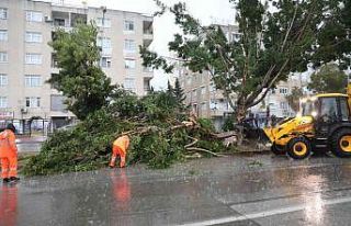 Antalya’da yüksekte kar merkezde dolu ile mücadele
