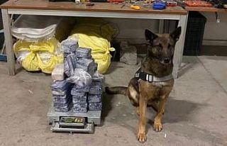 Aracın zulasındaki 31 kilogram eroini ‘Su’ buldu