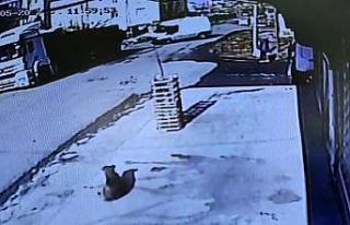Arnavutköy’de bozuk rögar kapağı kazaya yol...