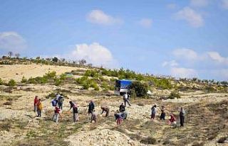 “Aroma Tadında Orman” dikimi tamamlandı