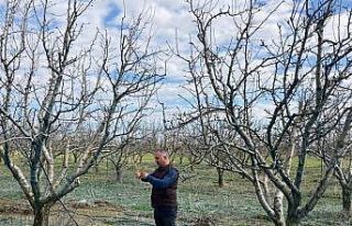Arpa çeşitlendirme çalışmaları aralıksız sürüyor