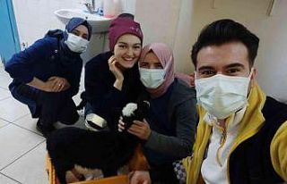 Ayağı kırılan kuzu veteriner bulunamayınca devlet...