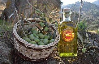 Aydın Ticaret Borsası, Aydın Memecik Zeytinyağı’nı...