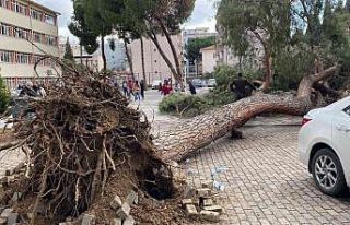 Aydın’da facia teğet geçti