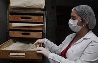 Aydın’da gıda denetimlerinde 14 işletmeye 253...