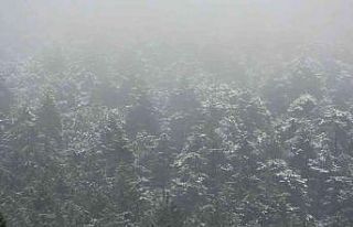 Aydos Ormanına yeniden kar yağmaya başladı