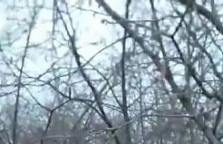 Bahçeye inen domuzu tek başına kovaladı