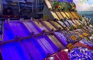 Balığa fırtına vurdu