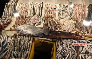 Balığın kulağına kar suyu kaçtı