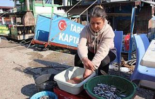 Balık-ekmek teknesi adeta savaş alanına döndü