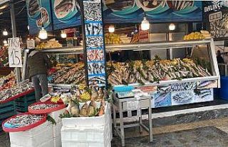 Balık tezgahlarında bolluk yaşanıyor